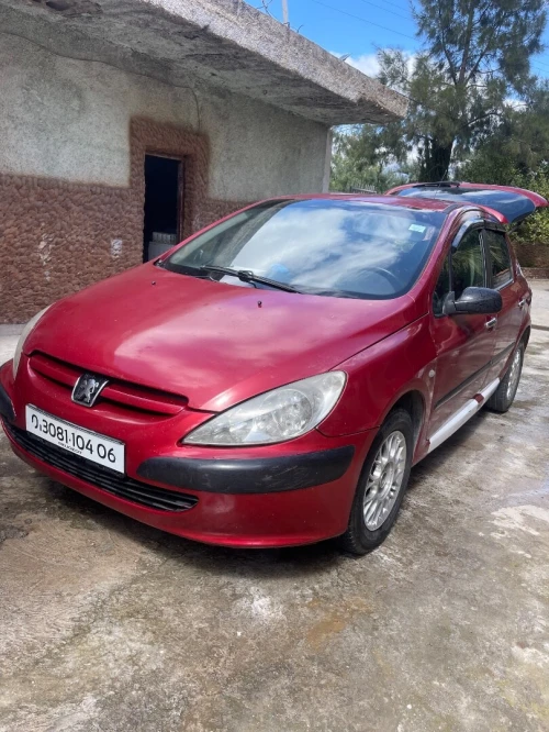 Peugeot 307 2004 307