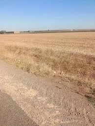 Vente Terrain Agricole Tiaret Rechaiga sebaine
