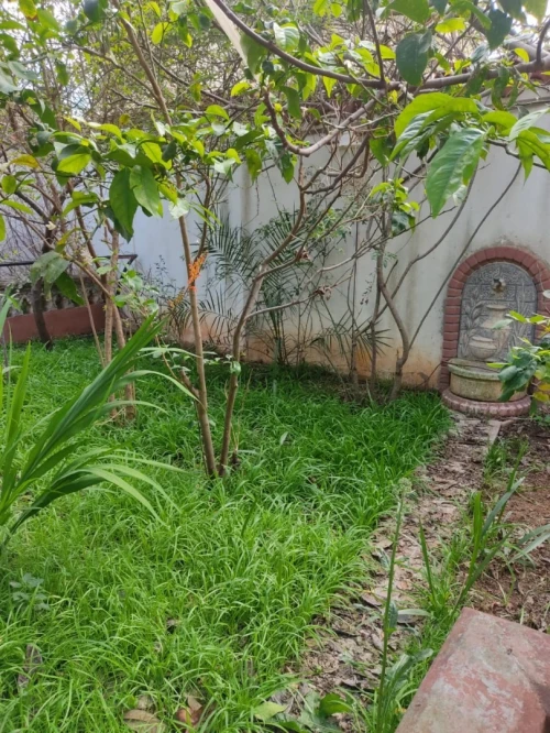 Vente Villa Alger Bordj el bahri