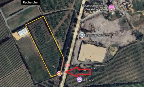 Vente Terrain Agricole Tipaza Kolea