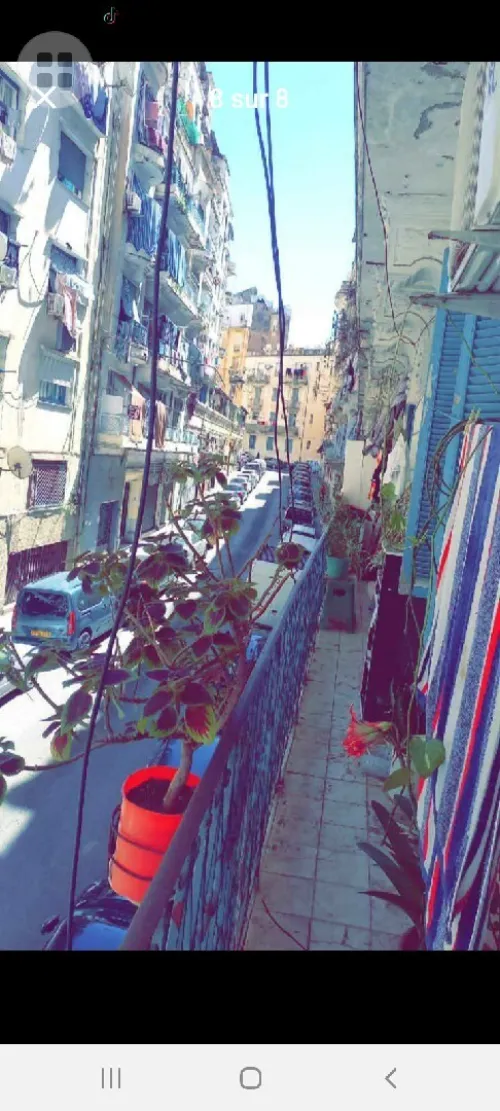 Vente Appartement F3 Alger Alger centre