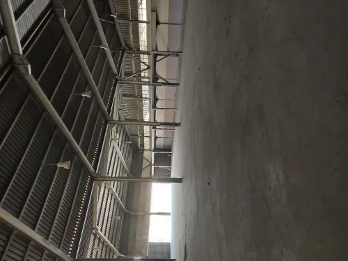 Location Hangar Alger Oued smar