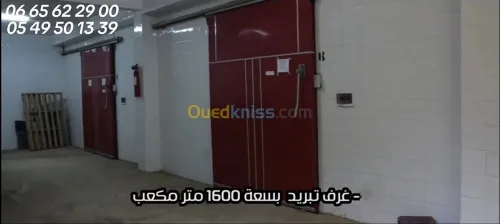 Vente bien immobilier Skikda Emdjez edchich