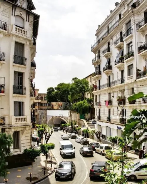 Location Local Alger El achour
