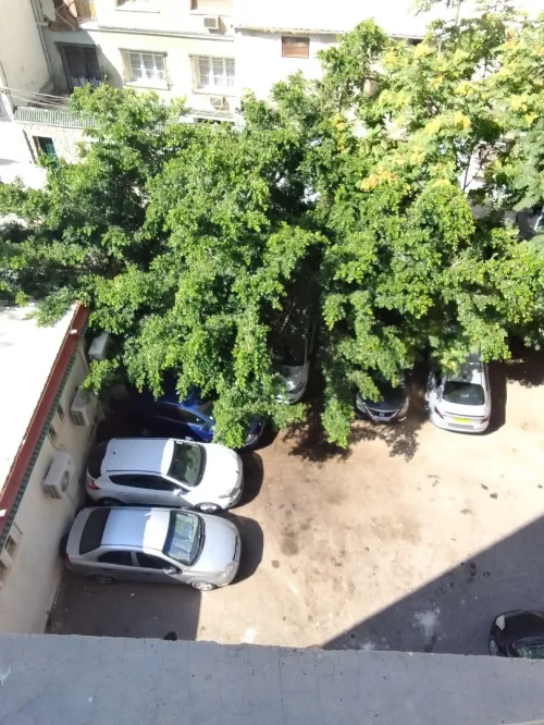 Vente Appartement F3 Blida Bougara