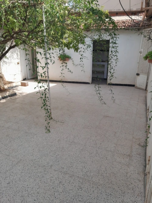 Vente Villa Blida Blida