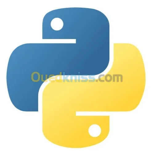 Expert Python