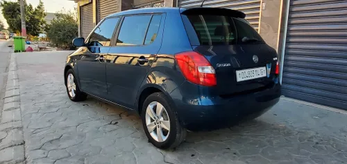 Skoda Fabia 2014 Fresh