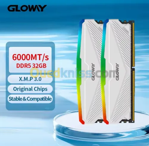  gloway ddr5 32gb 5600mhz  RGB 