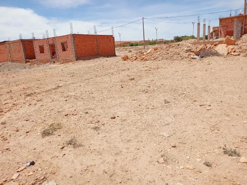Vente Terrain Tiaret Serghine