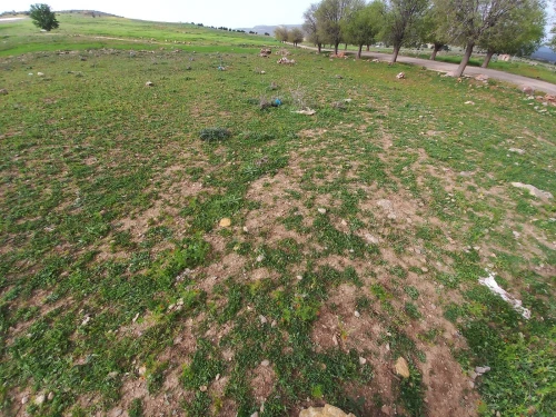 Vente Terrain Tlemcen Tirni beni hediel