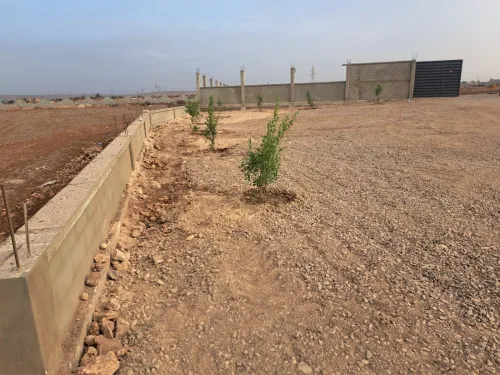 Location Oran Bethioua