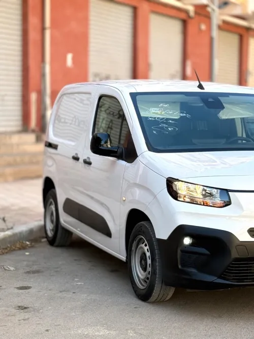 Fiat Doblo 2024 Profisionel
