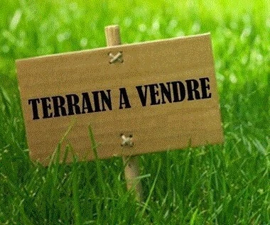 Vente Terrain Djelfa Guernini