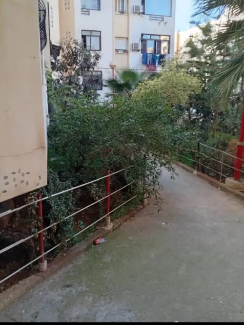 Vente Appartement F3 Blida Meftah