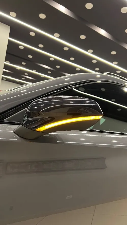 Seat Cupra  2026 