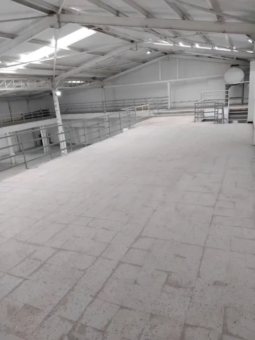Location Hangar - Usine Alger Cheraga