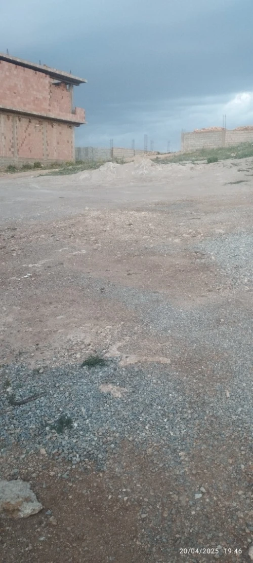 Vente Terrain Aïn Témouchent Sidi safi