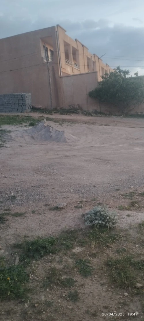 Vente Terrain Aïn Témouchent Sidi safi