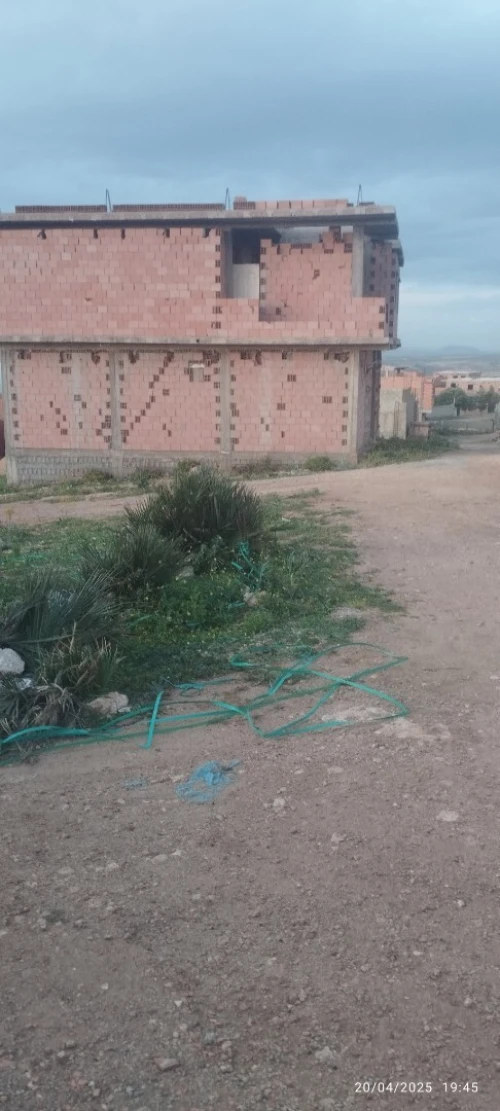 Vente Terrain Aïn Témouchent Sidi safi