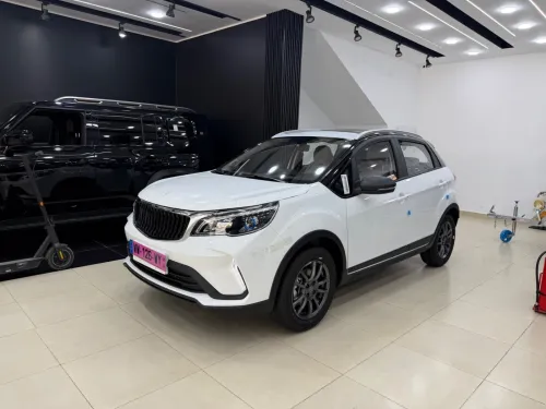 Livan X3 Pro  2026 Automatique (Avec toi ouvrant )