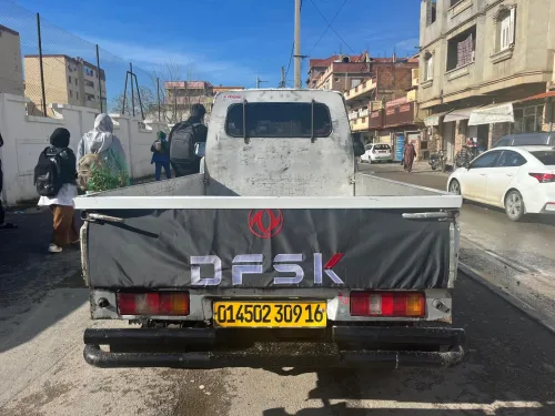 DFM DFM 2009 