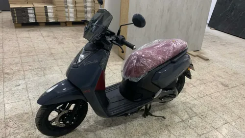VMS GEMMA 2025
