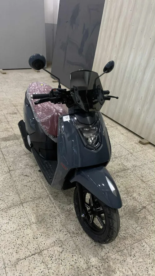 VMS GEMMA 2025