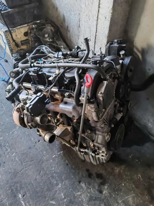 Moteur sang young rixton
