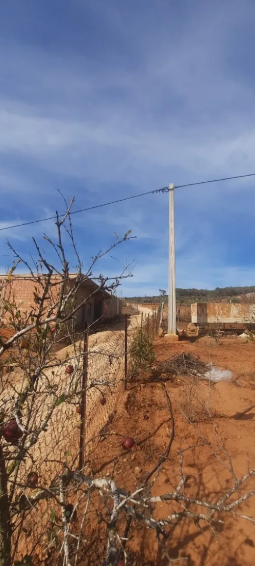 Vente Terrain Mostaganem Sidi ali