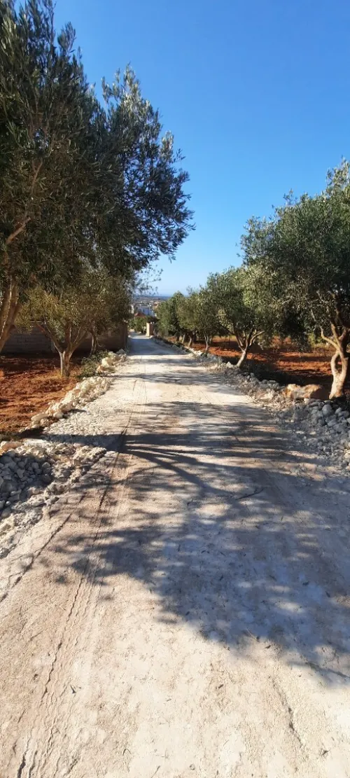 Vente Terrain Mostaganem Sidi ali