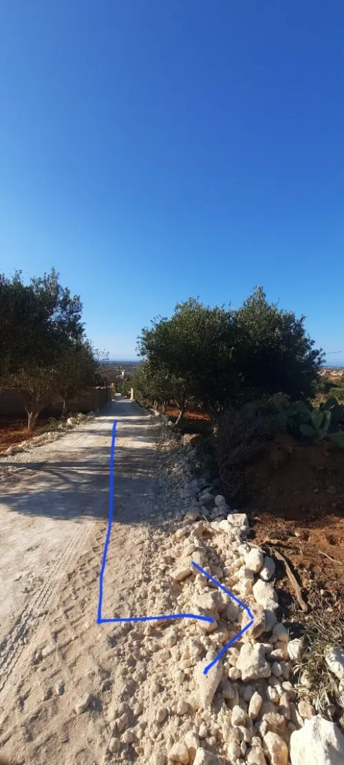 Vente Terrain Mostaganem Sidi ali