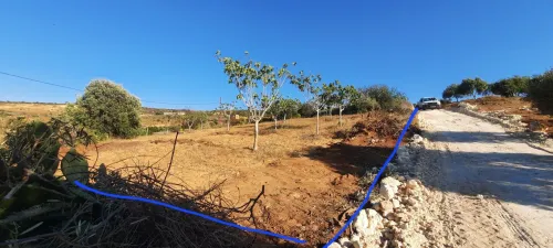 Vente Terrain Mostaganem Sidi ali