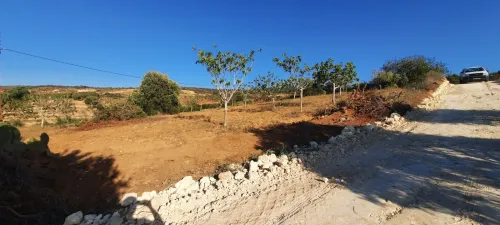 Vente Terrain Mostaganem Sidi ali