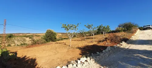 Vente Terrain Mostaganem Sidi ali