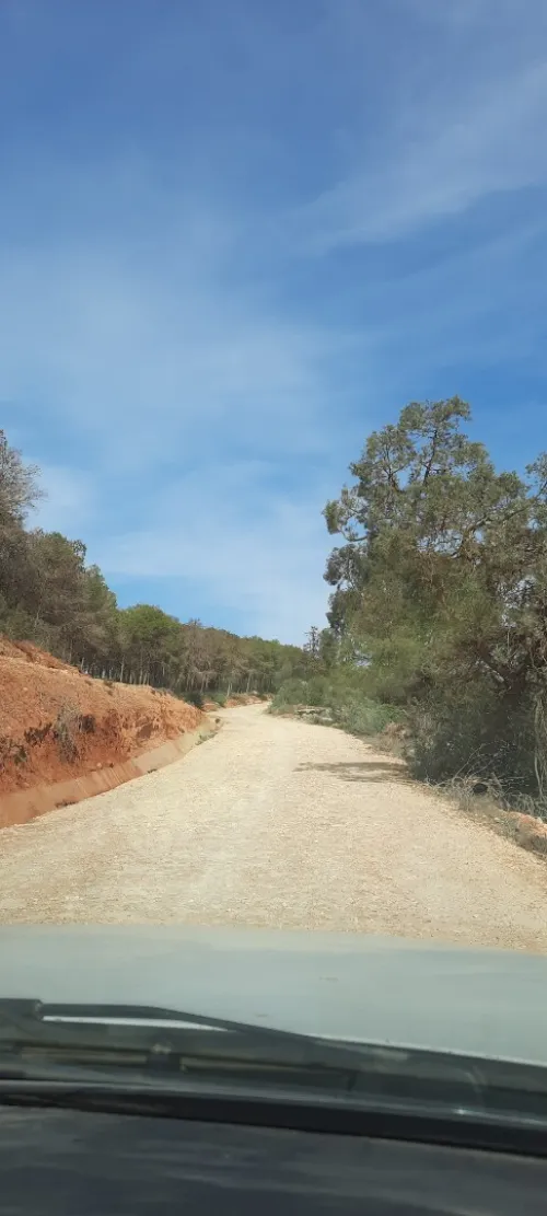 Vente Terrain Mostaganem Sidi ali