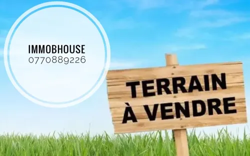 Vente Terrain Alger Staoueli