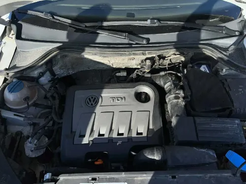 Volkswagen Tiguan 2011 Tiguan