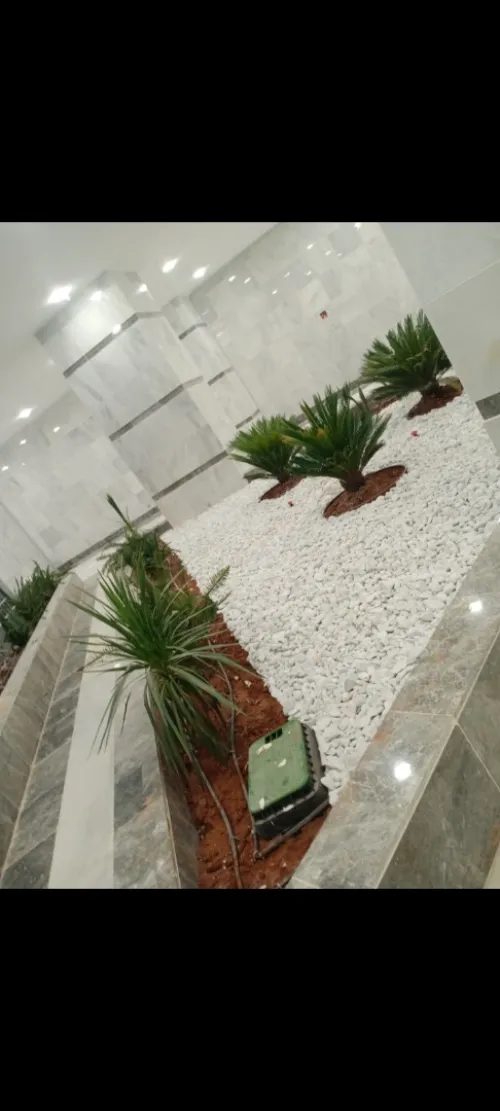 Décoration des jardin 