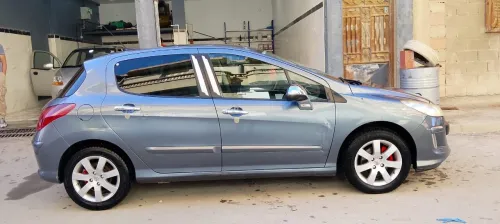 Peugeot 308 2010 Platinum 