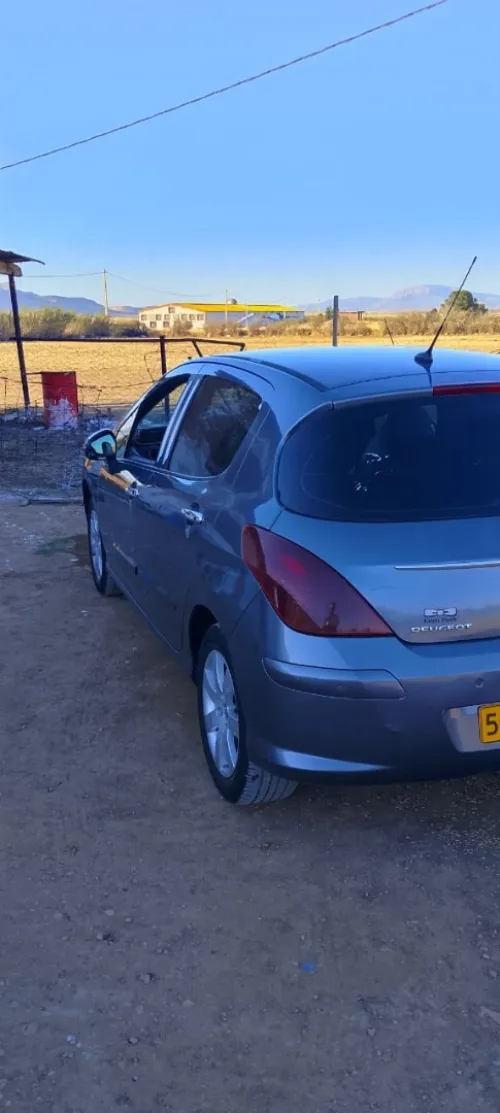 Peugeot 308 2010 Platinum 