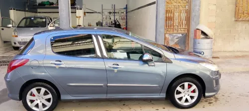 Peugeot 308 2010 Platinum 