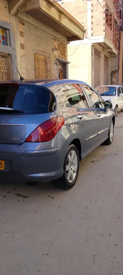 Peugeot 308 2010 Platinum 