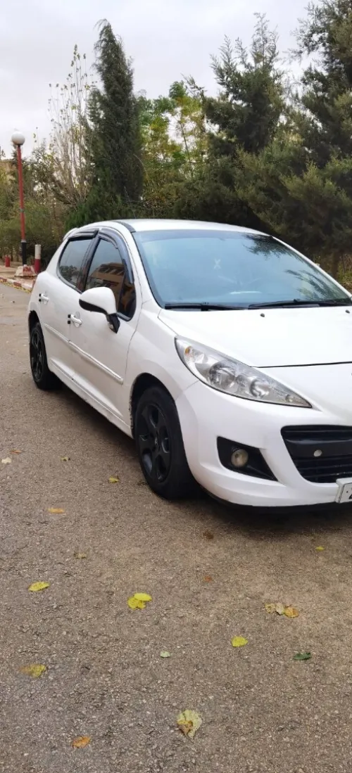 Peugeot 207 2011 Active