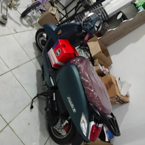 Sym Fiddl 3 2025