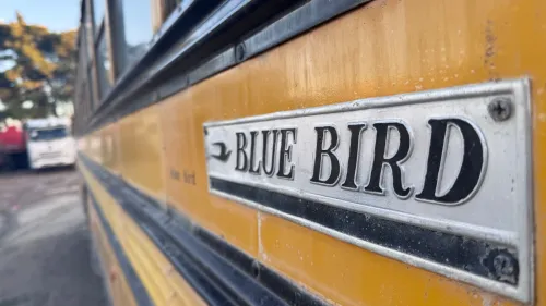 GMC Blue bird 1995