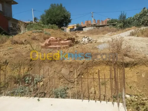 Vente Terrain Boumerdès Khemis el khechna