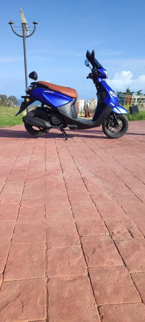Vms voci