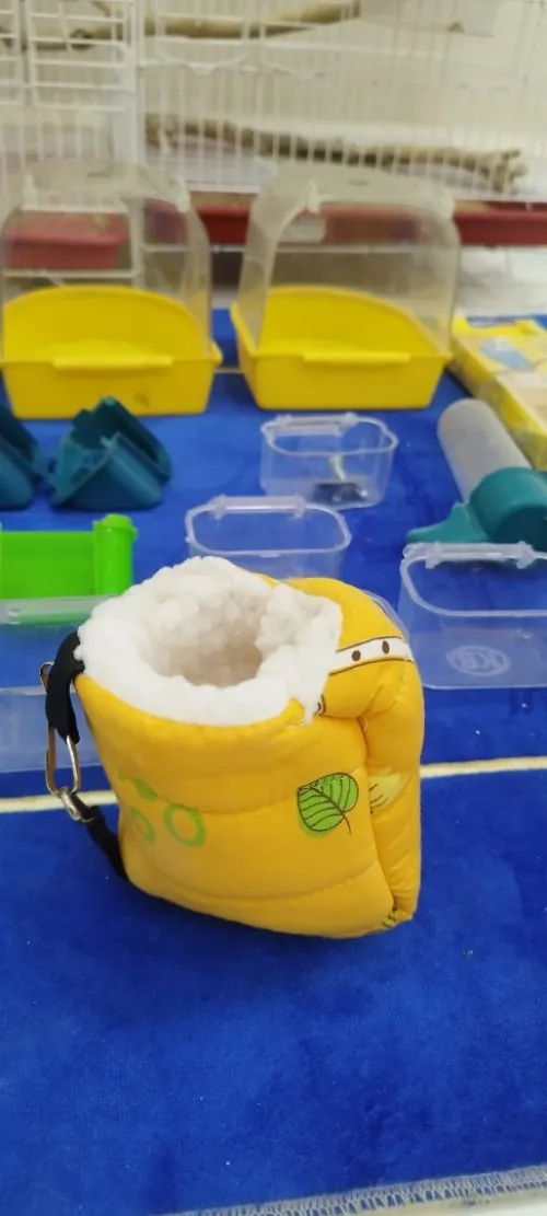 Perruche avec Cage de couplage avec tous le matériel de l elvage