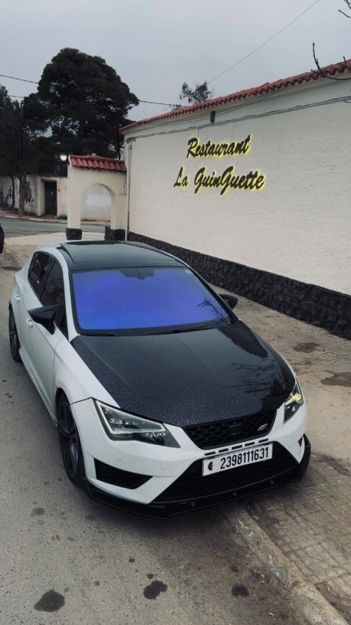 Seat Leon 2016 Cupra R